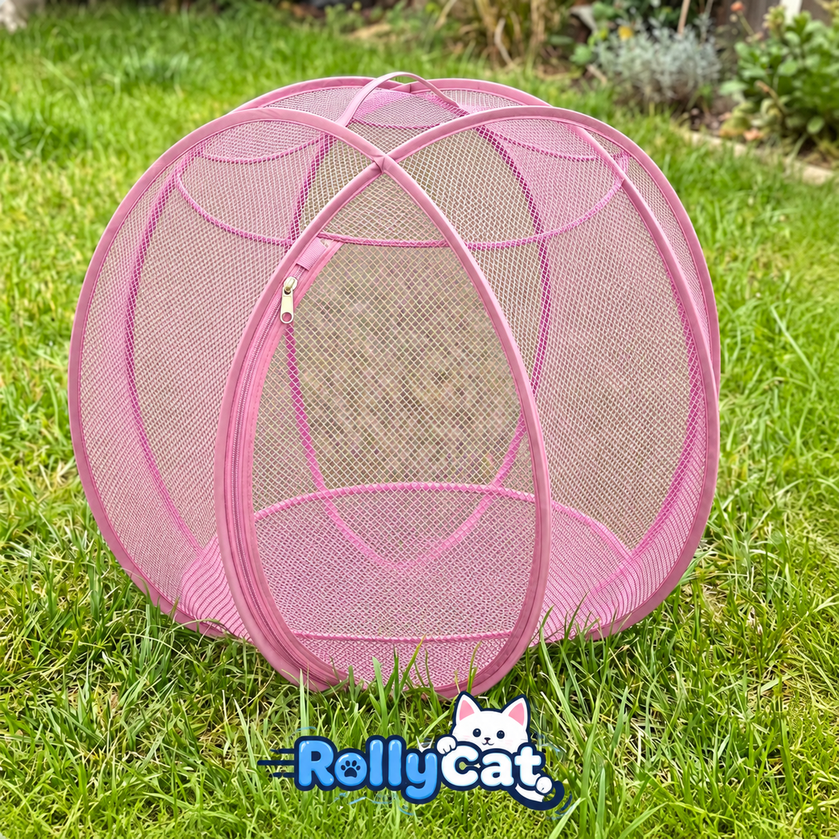 rolly cat