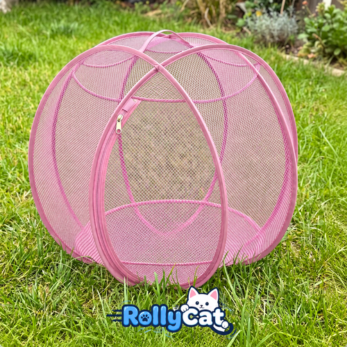 rolly cat