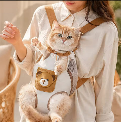 carry kitty