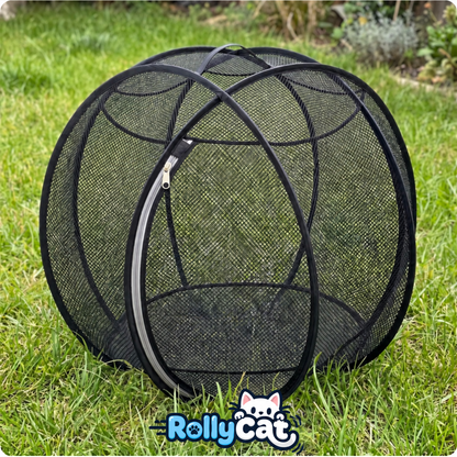 rolly cat