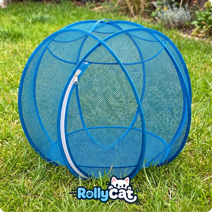 rolly cat