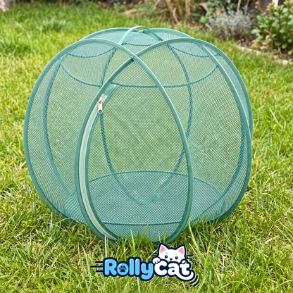 rolly cat
